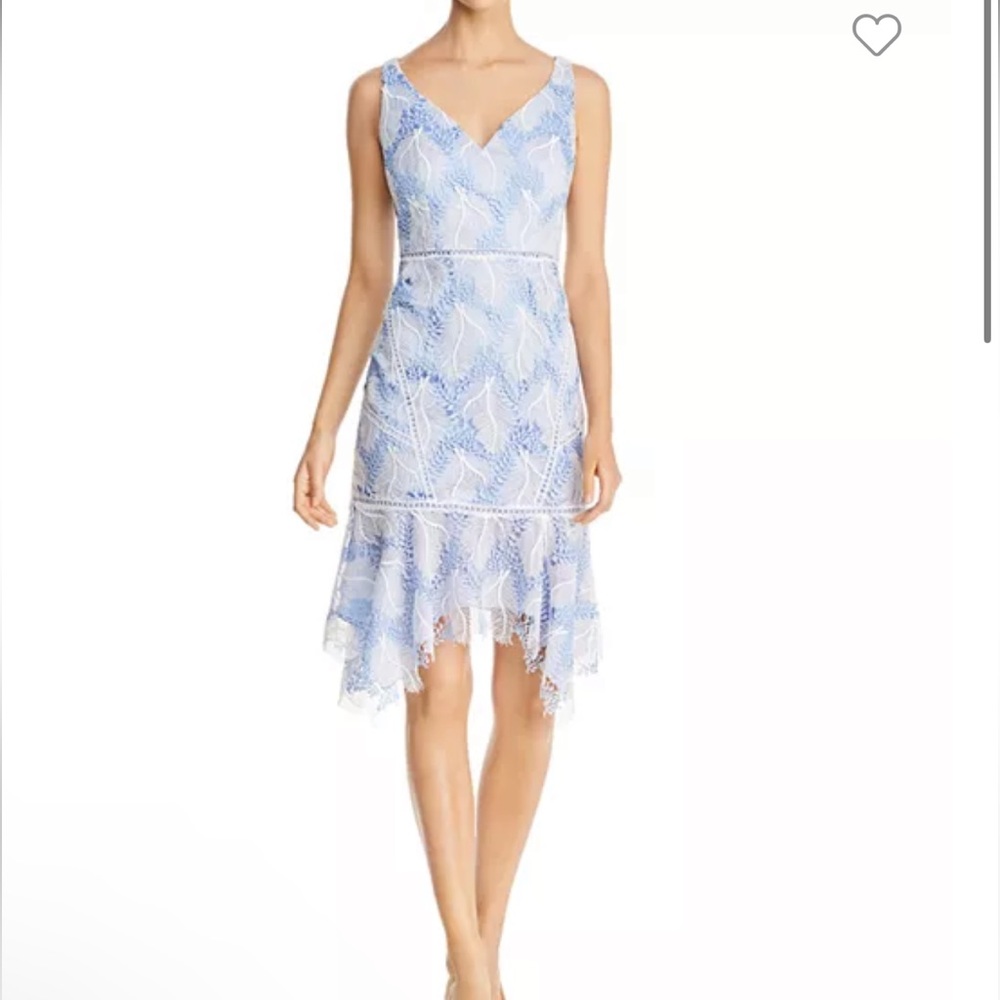 Elie Tahari Mariya Embroidered Lace Dress size 8